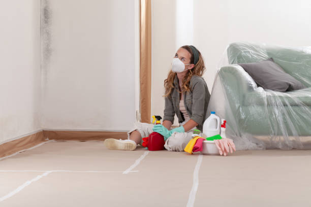 Reliable Mold Testing contractor in Fife, WA by WQB Mold Removal
